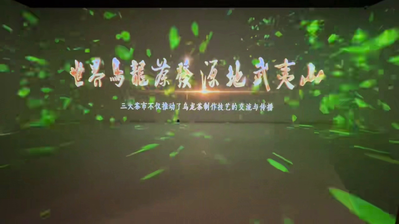 从一片青叶到世界名茶，视美乐用光影演绎乌龙茶的“前世今生”